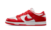 Nike Dunk